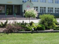 image09.jpg