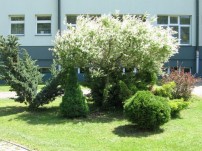 image10.jpg