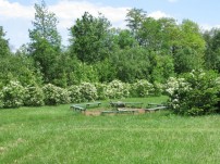 image14.jpg